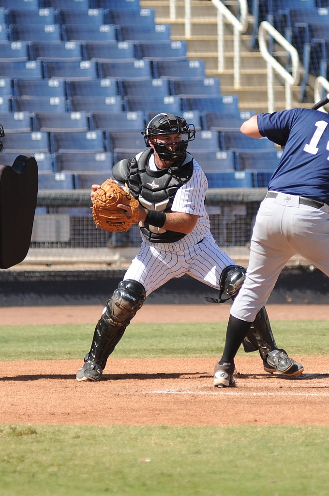 Seals_2017-10-09 (103).jpg - (c)2010 DeVetter